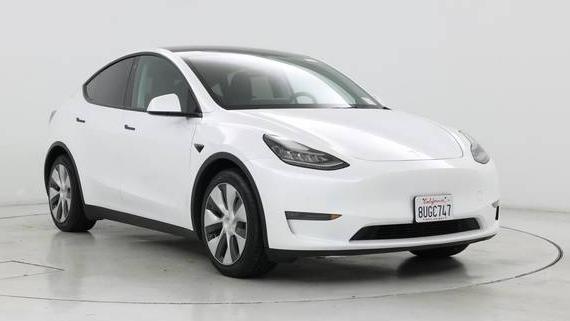 TESLA MODEL Y 2021 5YJYGDEE5MF091395 image